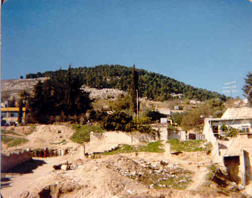 ������ɽ (25392 bytes)