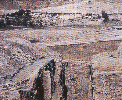 Ү����ų���ַ (136263 bytes)