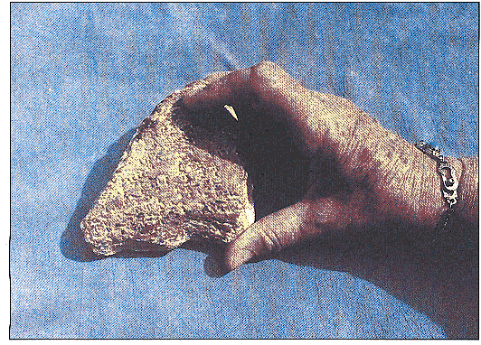 Gilgamesh ʷʫ�Ĳ�Ƭ (122068 bytes)