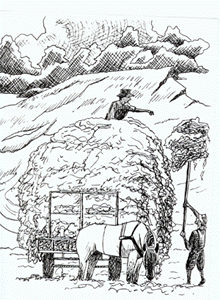 16.gif (47197 字节)