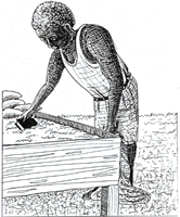 30.gif (21902 �ֽ�)