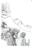 38.gif (12617 字节)