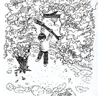 42.gif (27750 �ֽ�)